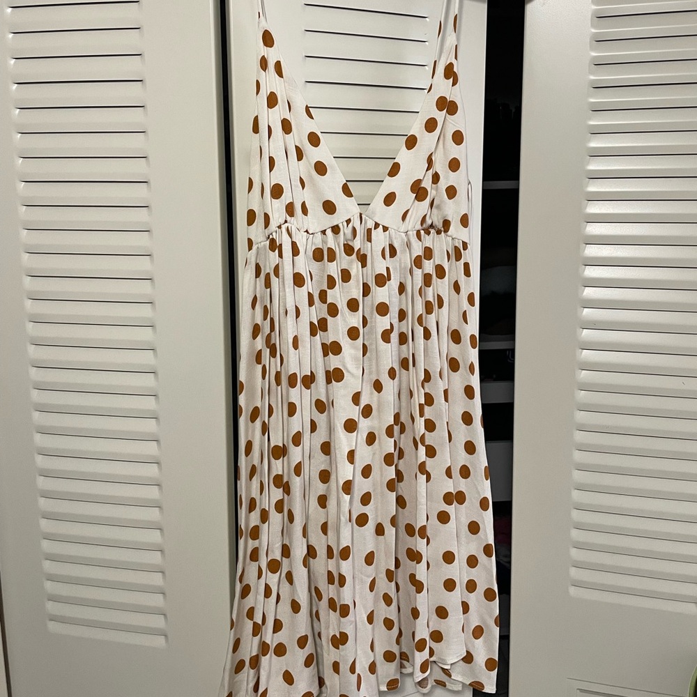 Zara Polka Dot Dress